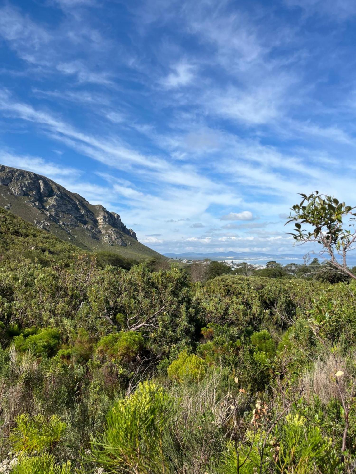 Twin Gables, Centrally Located 2 Bedroom Apartment Hermanus Exterior photo